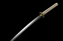 Seiryū no Tamashi Katana