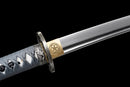 Ginsei no Ikari Katana